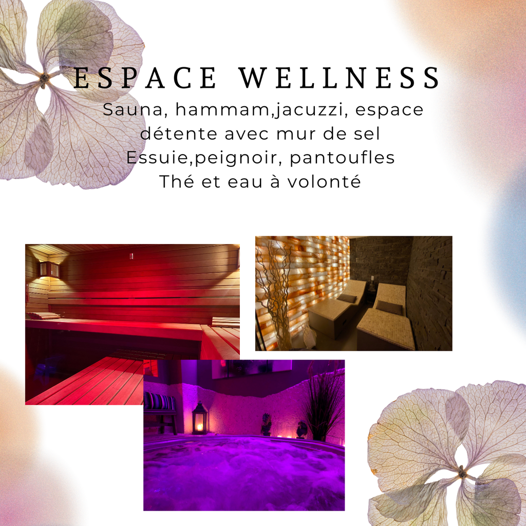 Espace wellness 