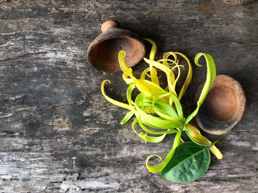 Voyage balinais    70 min. 