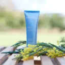 ALGODEFENSE émulsion rides multi protectrice 